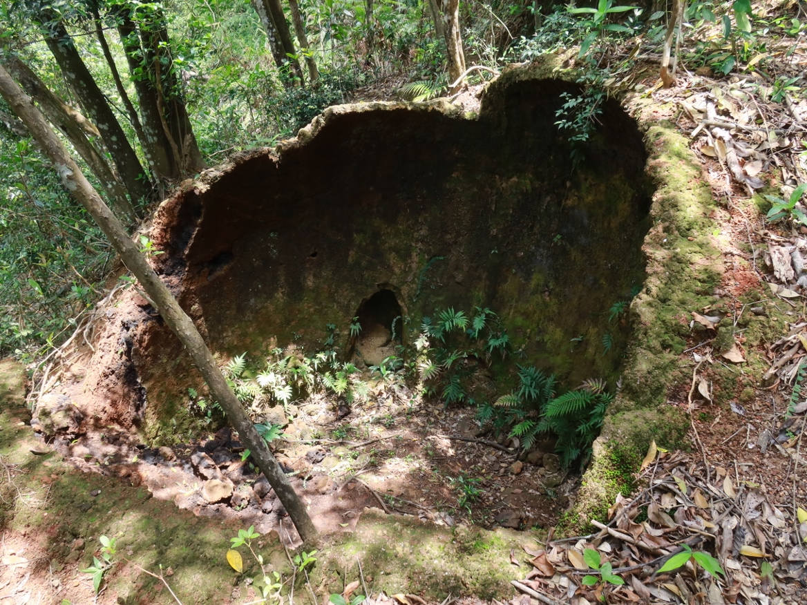 筆架軍路行